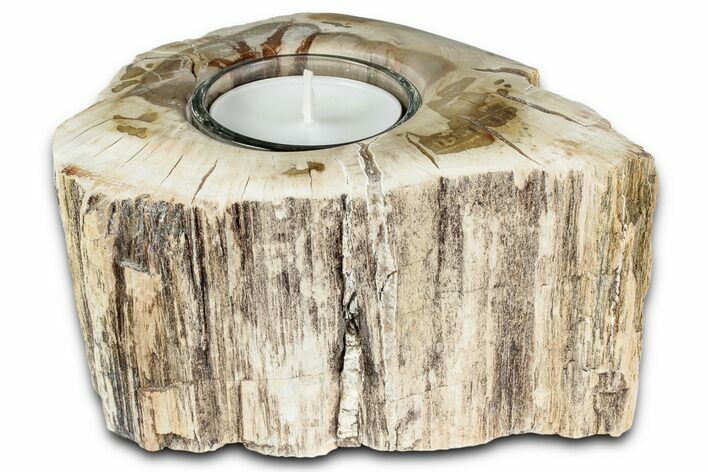 Polished Petrified Wood Candle Holder - Madagascar #337558